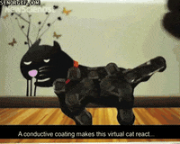 cat GIF