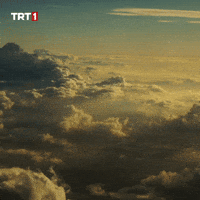 Fly Plane GIF by TRT