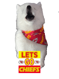 Chiefs Samoyed Sticker