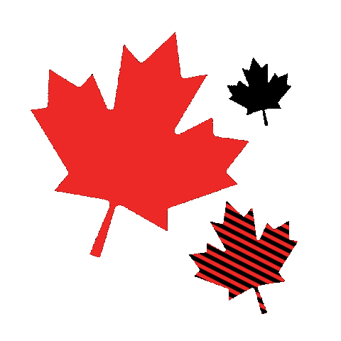 Maple Leafs Canada Sticker by TIFF