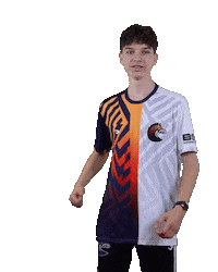 Esports Zebra Sticker by BS+COMPETITION