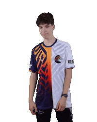 Esports Zebra Sticker by BS+COMPETITION