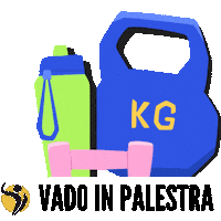 Gym Palestra Sticker by Champion Training Sanda Martial Art