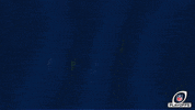 24 Hours Football GIF by Seattle Seahawks