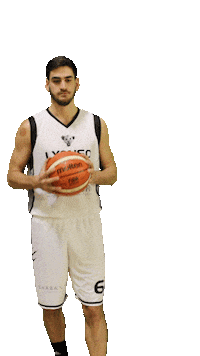 LyonsoBasket basketball nba bball national Sticker