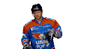 unisflyers goal eagles flyers nederland Sticker
