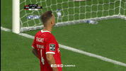 SL_Benfica nod nodding benfica slb GIF
