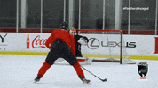 Cats Nhl GIF by Florida Panthers