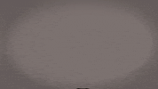 GIF by Cal State LA Golden Eagles