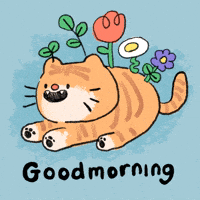 Good Morning Cat GIF