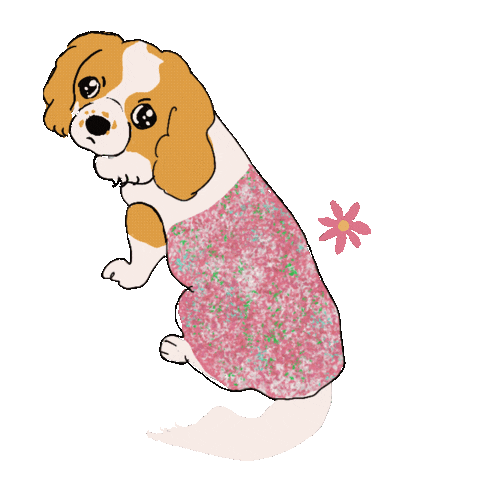 Dog Cavaliers Sticker