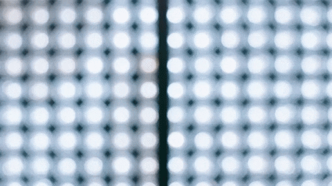 New York Fashion Week GIF by NYFW: The Shows