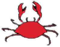 crab STICKER