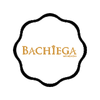 LojaBachiegaNovidades look moda bachieganovidades Sticker