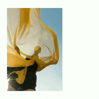 elojodenestor gif art remix portraits modelos GIF