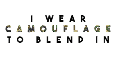 Camouflage Sticker by The Front Bottoms