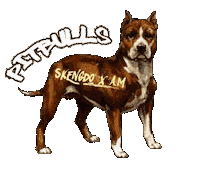 am pitbulls Sticker