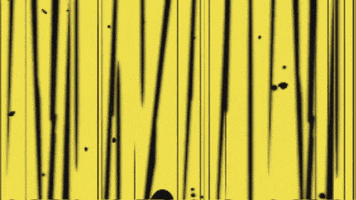 ayyuka animation psychedelic yellow turkish GIF