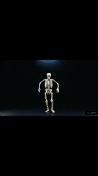 Happy Dance GIF