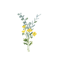 Illustration Love Sticker by Coppenrath | Die Spiegelburg