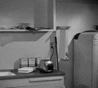 george stevens breakfast GIF by Maudit