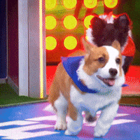 Dog Running GIF by Puppy Bowl
