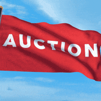 RealEstateAuction  GIF
