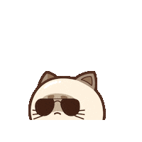 Cat Sticker