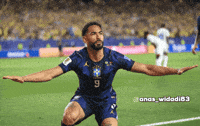 World Cup Football GIF