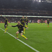 Premier League Win GIF by Manchester United