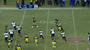 Pittsburgh Steelers GIF by NFL