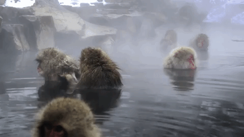 symphony for our world GIF by Nat Geo Wild 