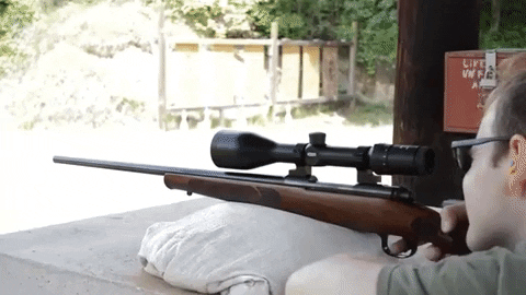 AmericanFirearms giphygifmaker GIF