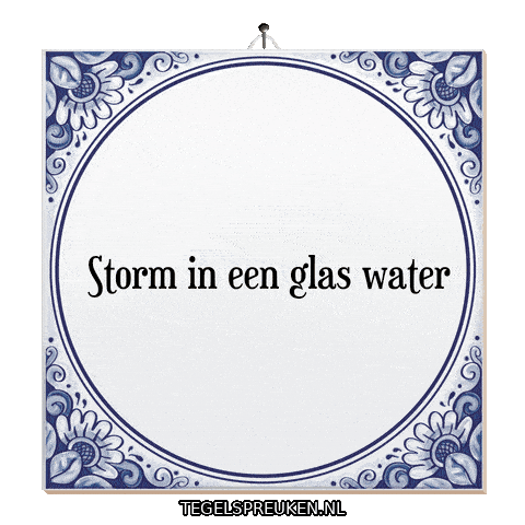 Storm Nl Sticker by Tegelspreuken.nl