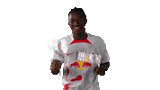 Happy Birthday Dance Sticker by RB Leipzig
