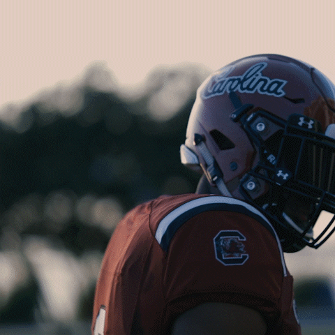 South Carolina Gamecocks Flag GIF by gamecocksonline