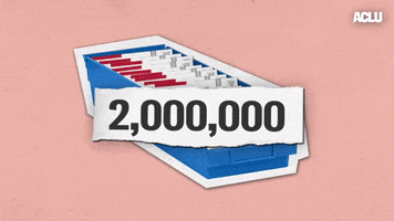 Voting Election 2020 GIF by ACLU