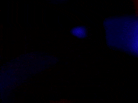 At The Disco Art GIF by Luc Schraauwers