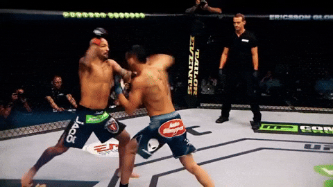 ufc 206 GIF