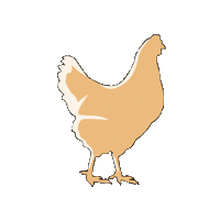 FreshlayFarms_GoldenYolker instagram stickers egg recipes Sticker