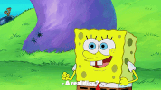 season 9 GIF by SpongeBob SquarePants