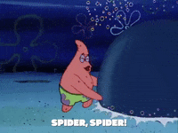 season 1 pizza delivery GIF by SpongeBob SquarePants