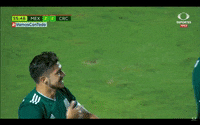 liga mx football GIF by MiSelecciónMX