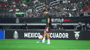liga mx football GIF by MiSelecciónMX