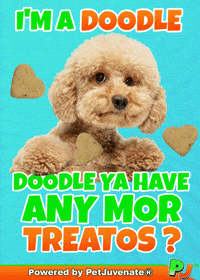 Henlo Hooman Fren GIF by PetJuvenate - PJ