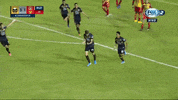 CafetalerosdeChiapas cafe gol festejo chiapas GIF