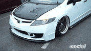 Honda Club GIF by Curated Stance Club!
