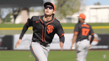 Catching Giants Baseball GIF by San Francisco Giants
