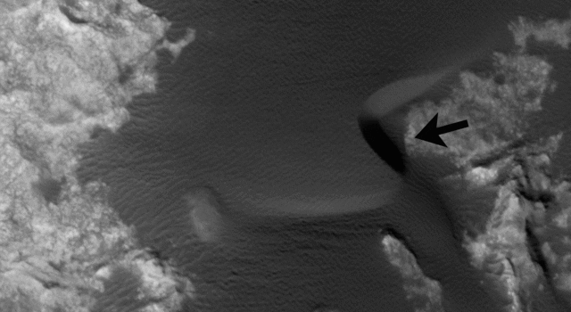 curiosity GIF
