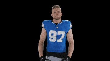 Nfl No GIF by Detroit Lions